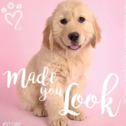 Rachael Hale Made You Look Stickers
