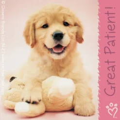 Rachael Hale® Patient Stickers
