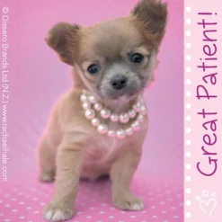 Rachael Hale® Patient Stickers