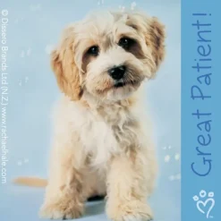 Rachael Hale® Patient Stickers