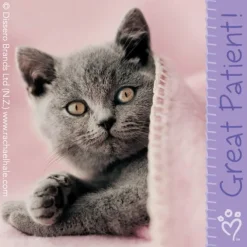 Rachael Hale® Patient Stickers