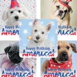 Rachael Hale Patriotic Stickers