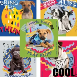 Rachael Hale Play Ruff Stickers