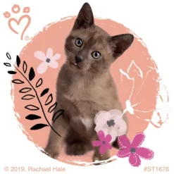 Rachael Hale Pretty Kitty Stickers