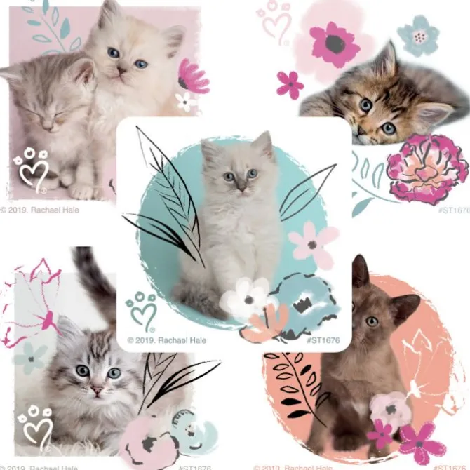 Rachael Hale Pretty Kitty Stickers