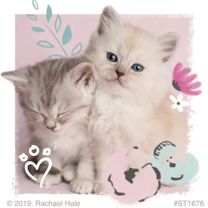 Rachael Hale Pretty Kitty Stickers