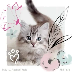 Rachael Hale Pretty Kitty Stickers