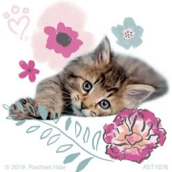Rachael Hale Pretty Kitty Stickers