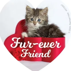 Rachael Hale Smitten Stickers