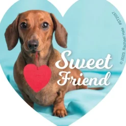 Rachael Hale Smitten Stickers