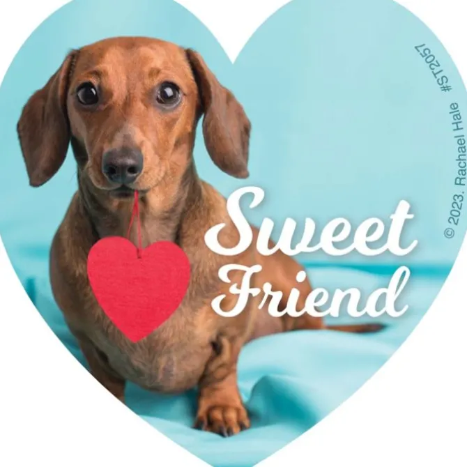 Rachael Hale Smitten Stickers
