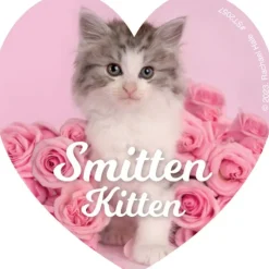 Rachael Hale Smitten Stickers