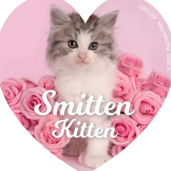 Rachael Hale Smitten Stickers