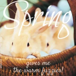 Rachael Hale Spring Fuzzies Stickers