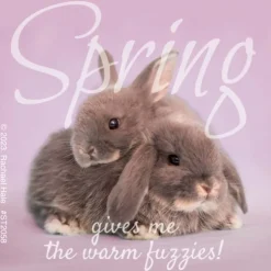Rachael Hale Spring Fuzzies Stickers