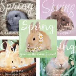 Rachael Hale Spring Fuzzies Stickers