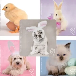 Rachael Hale® Spring Stickers