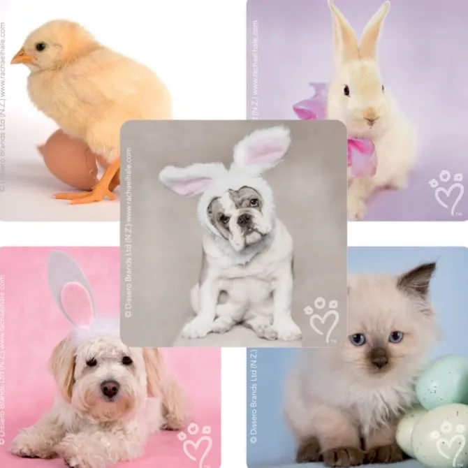 Rachael Hale® Spring Stickers