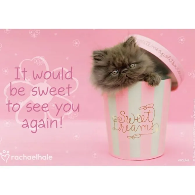 Rachael Hale Sweet Pink Cat Recall Cards