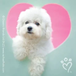 Rachael Hale® Valentine Stickers