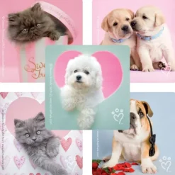 Rachael Hale® Valentine Stickers