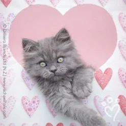 Rachael Hale® Valentine Stickers