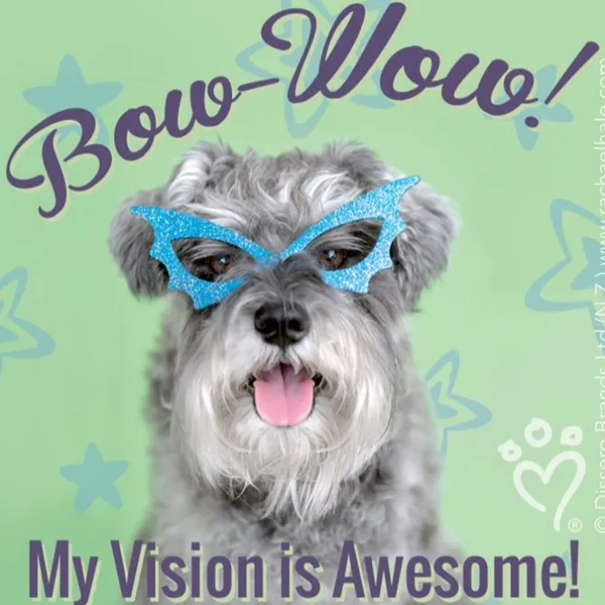 Rachael Hale Vision Stickers