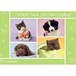 Rachael Hale Where Have You Been Hiding Recall Cards