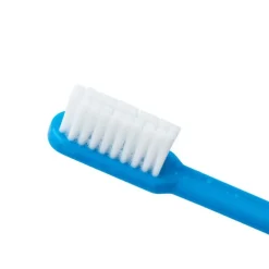 SmileCare™ Adult Pre-Pasted Disposable Toothbrushes