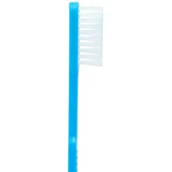 SmileCare™ Adult Pre-Pasted Disposable Toothbrushes