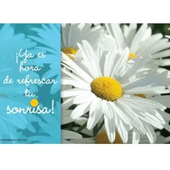 Spanish Daisy Dental Recall Cards