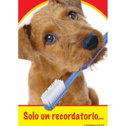 Spanish Dog with Toothbrush Recall Cards