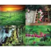 Spanish Nature Scenic Laser Cards
