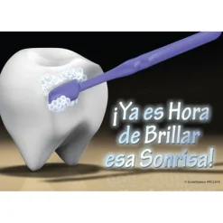 Spanish Time To Shine Recall Cards