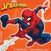Spider-Man™ ValueStickers