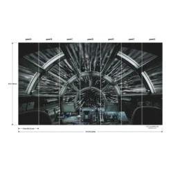 Star Wars Millennium Falcon Wall Mural