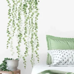 String Of Pearls Vine