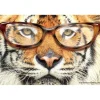 Tiger with Glasses Recall Cards