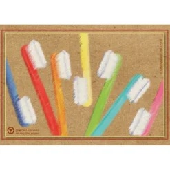 Toothbrushes Recycled Recall Cards