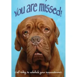 You Are Missed Recall Cards